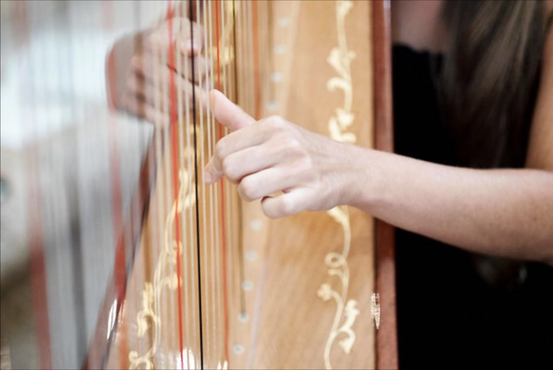 Eleonora Pellegrini - Harpist