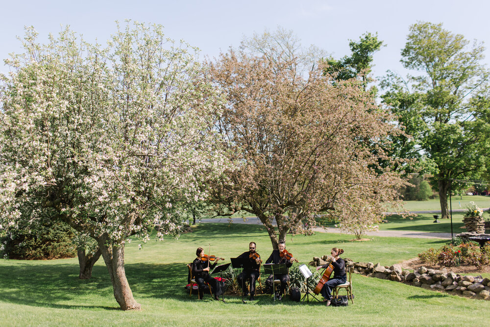 Buffalo Heartstrings